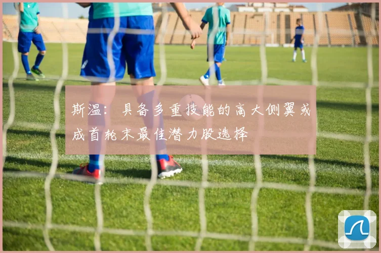斯温：具备多重技能的高大侧翼或成首轮末最佳潜力股选择